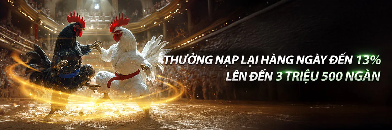 Hình ảnh chính về cách tối đa hóa lợi ích từ khuyến mãi ty88